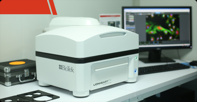 LionHeart FX | 智能活细胞成像分析系统