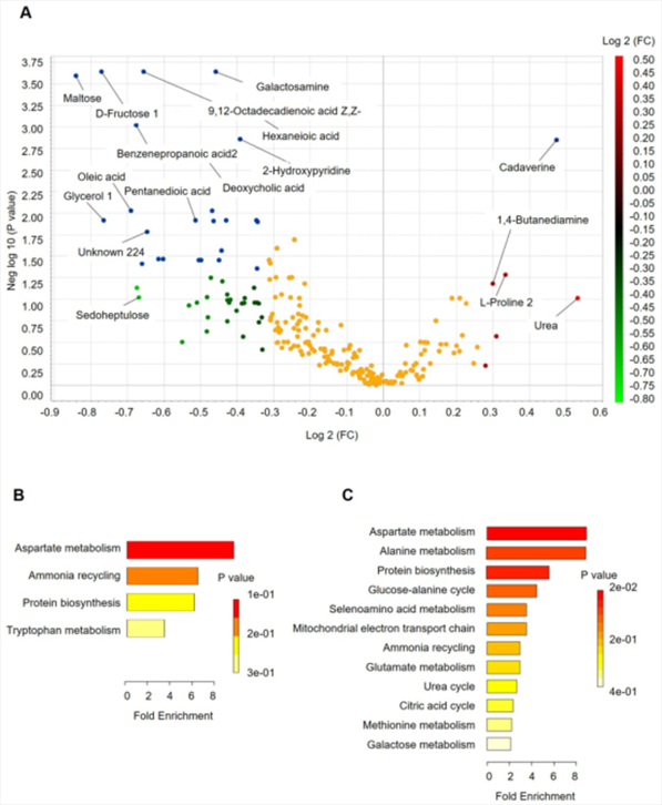 CRC和H组特异性粪便代谢组