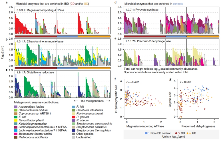 微生物的功能与代谢物的关系