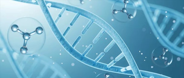 代谢组学/脂质组学技术平台