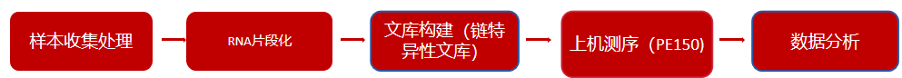 技术流程