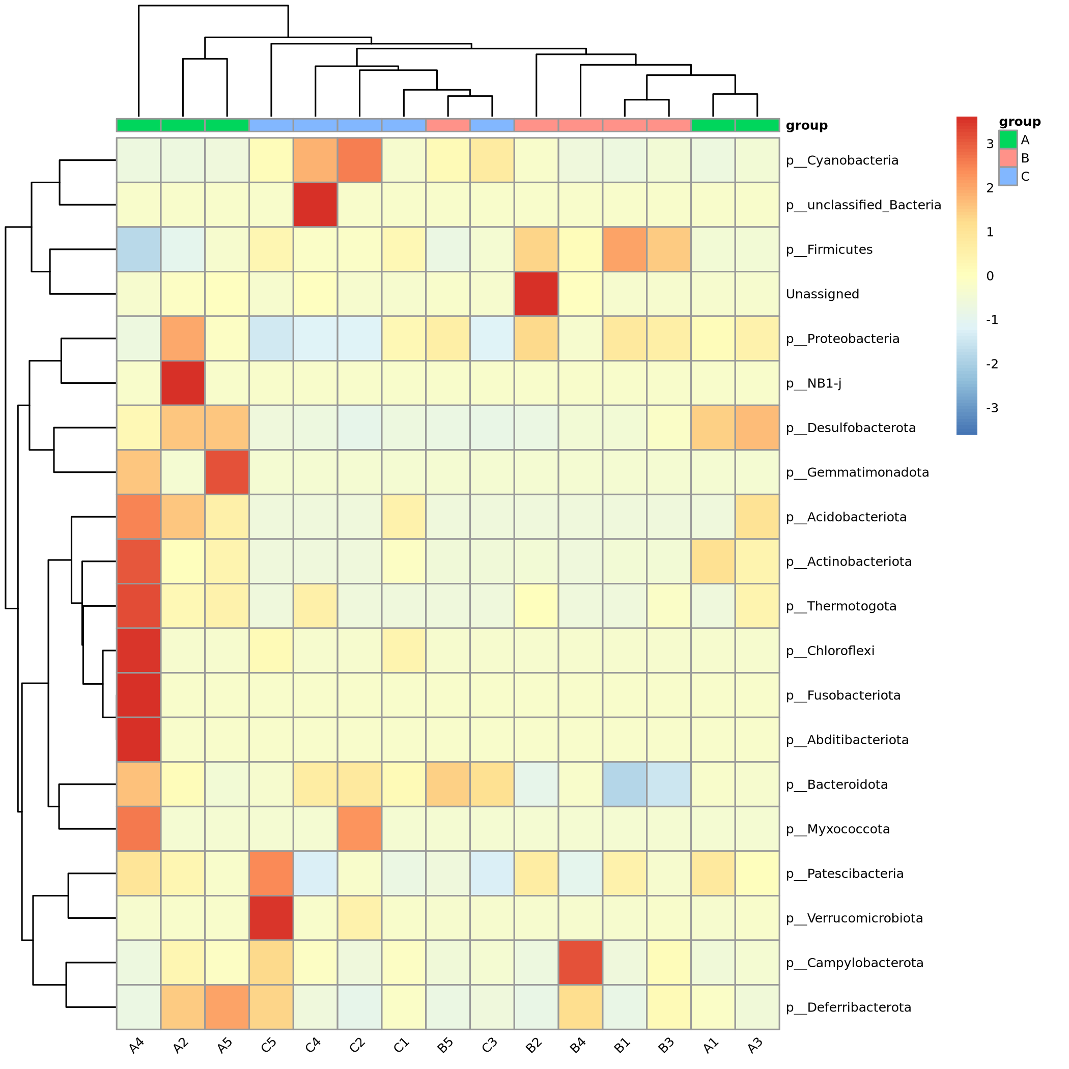 物种丰度聚类热图