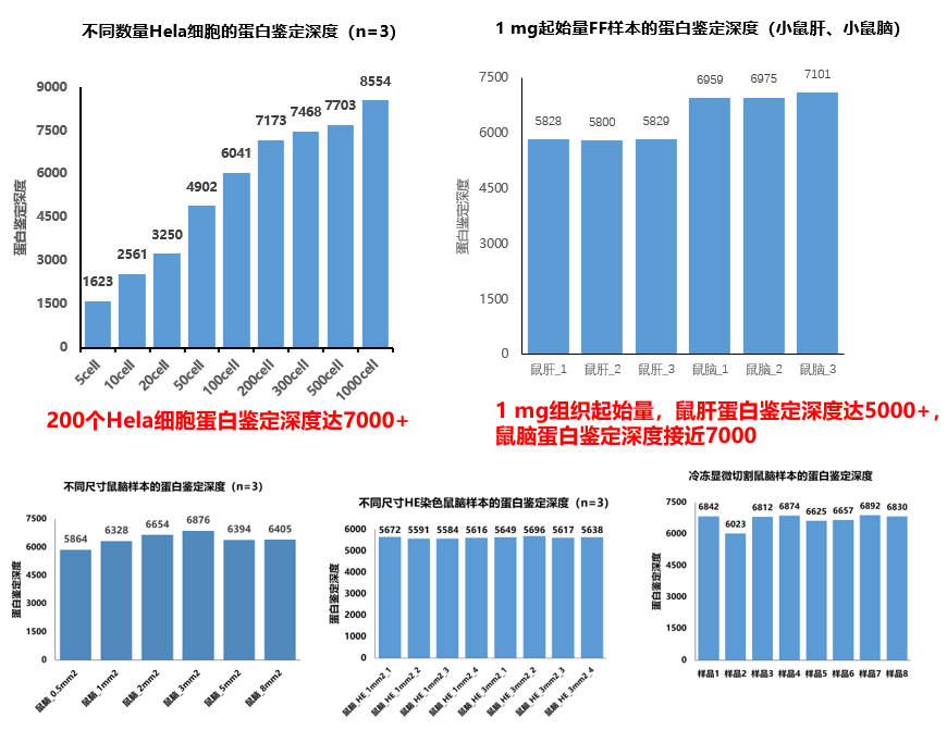 技术规格（测试数据）