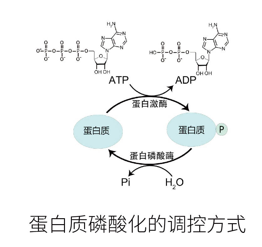 设备仪器